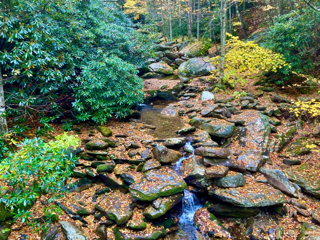 Boone Fork, a creek in Western NC.